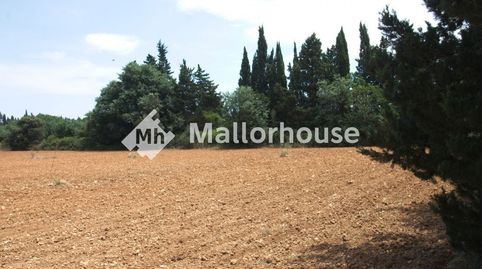 Foto 2 de Finca rústica en venta en Diseminado Diseminados, 2, Muro, Illes Balears