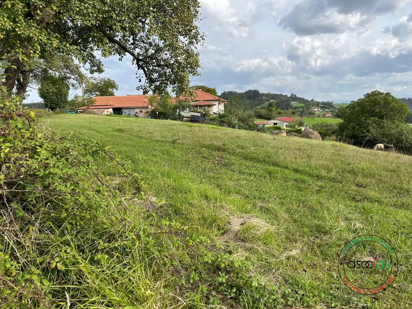 Land for sale in Siero
