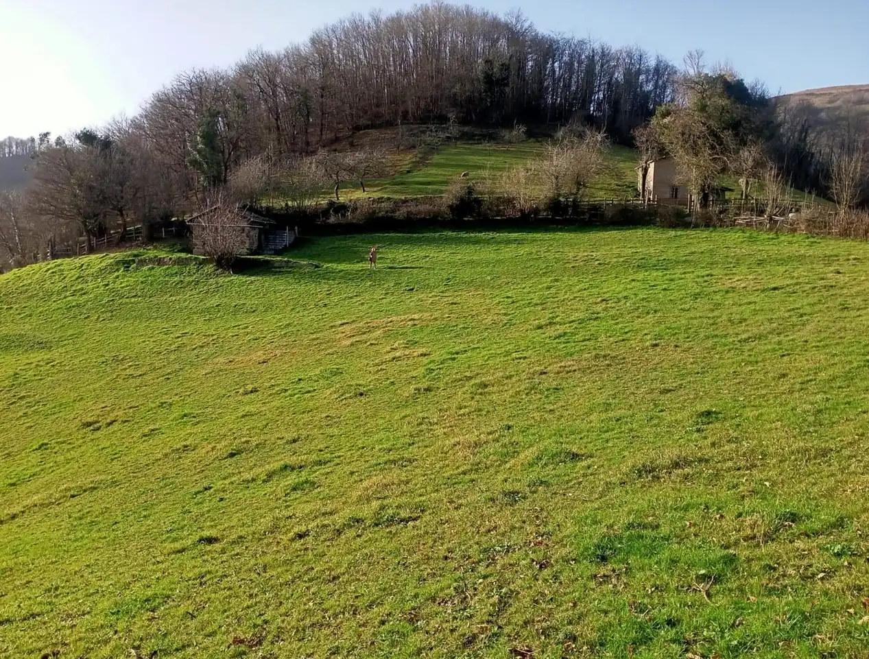 Lands and plots for sale in Caserio la Caseta, imagen 2