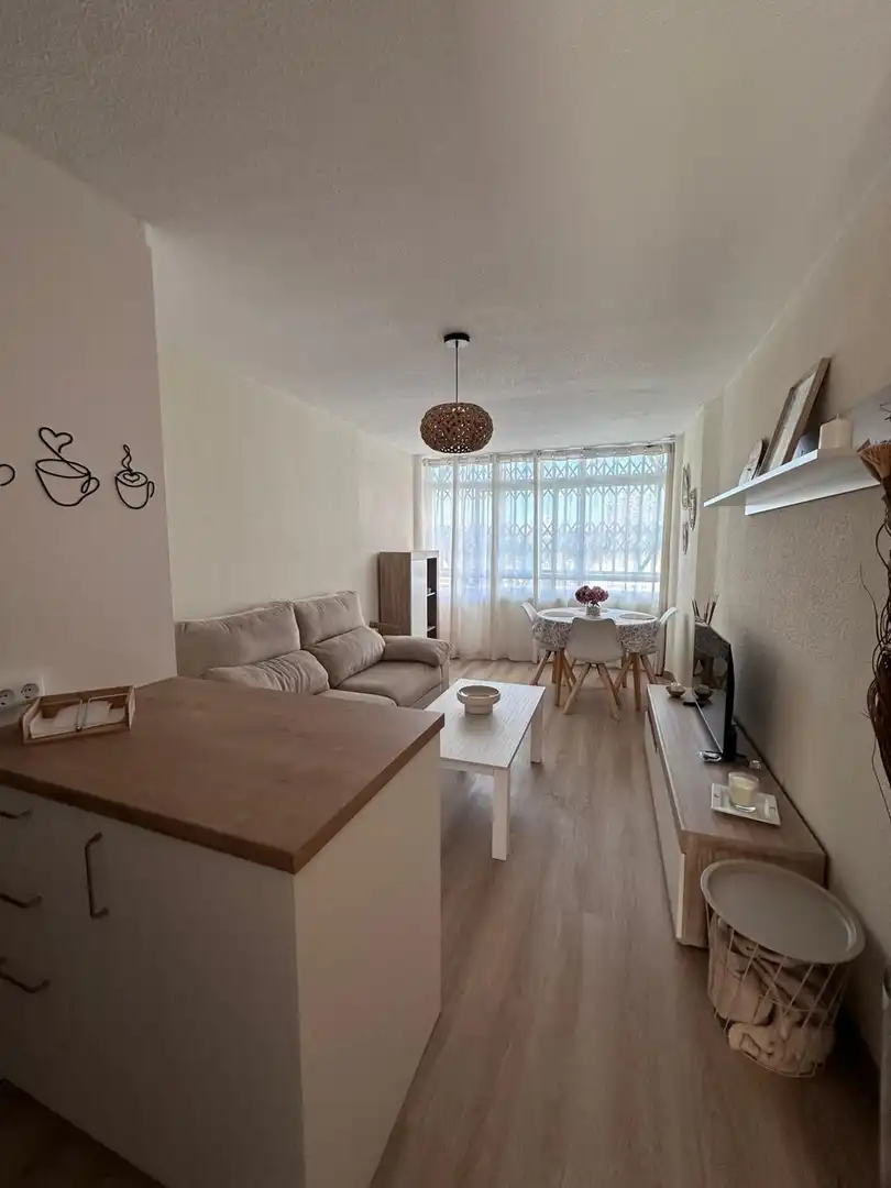 Flat for rent in de Holanda, Mil Palmeras