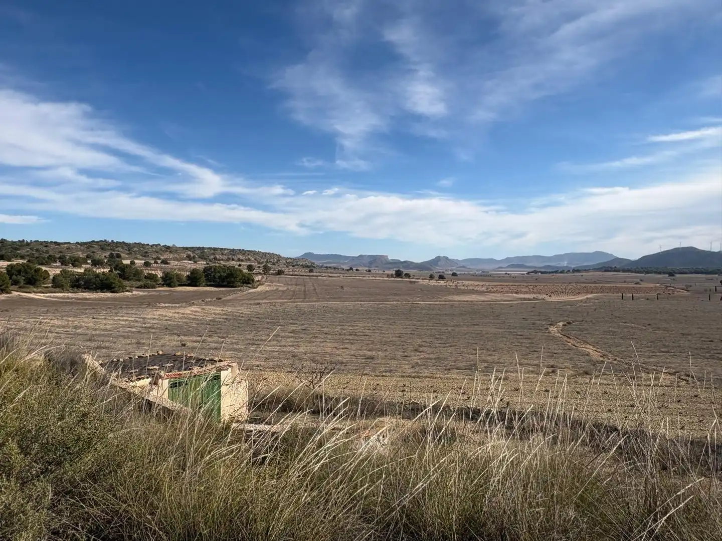 Finca rústica en venta en Ontur
