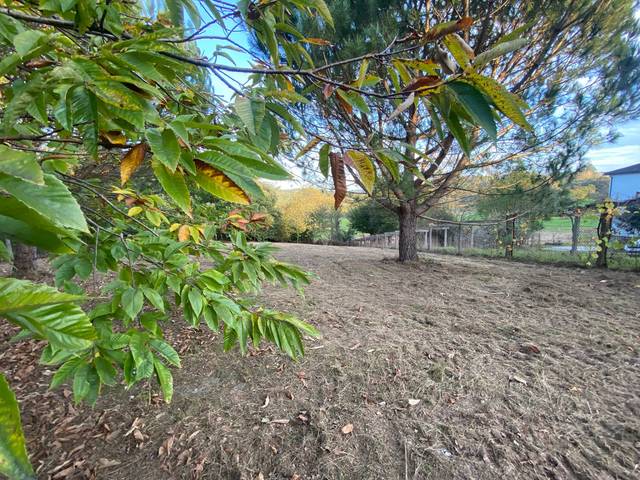Terreno en Alquiler en Estrada do Castro de Pontevea en Teo