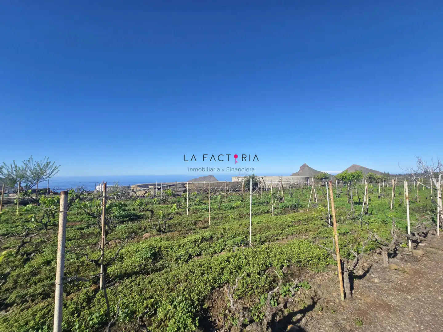 Terreno rústico en venta en Vilaflor de Chasna, imagen 3
