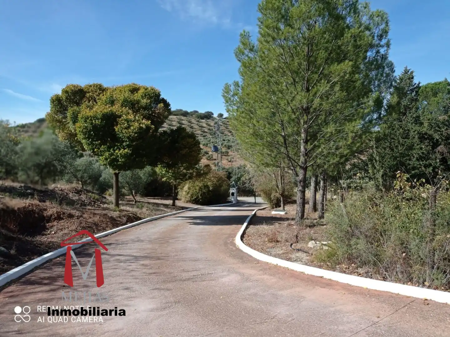 Vista exterior de Finca rústica en venta en Antequera con Terraza, Trastero y Piscina