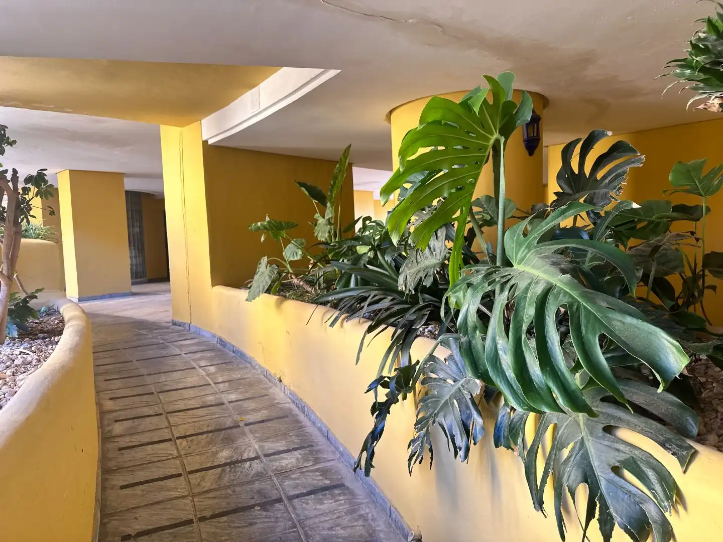 Piso con jardín en venta en Camino del Prado 1, imagen 48