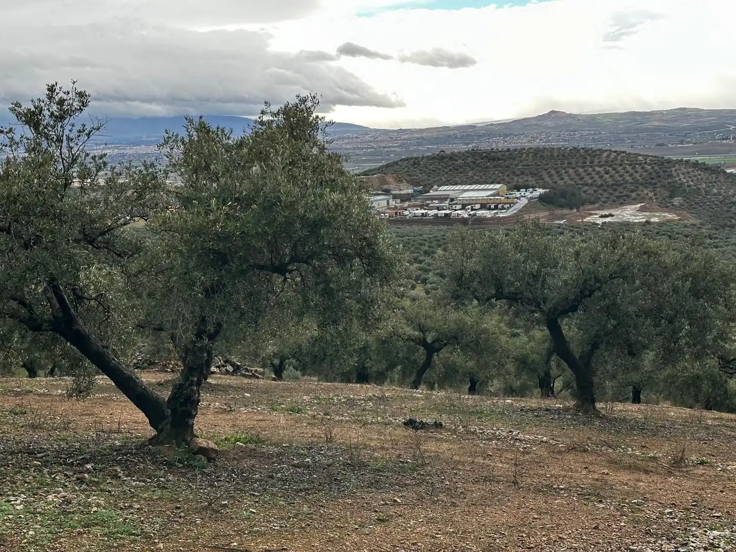 Terreni e lotti in vendita a Atarfe, imagen 26
