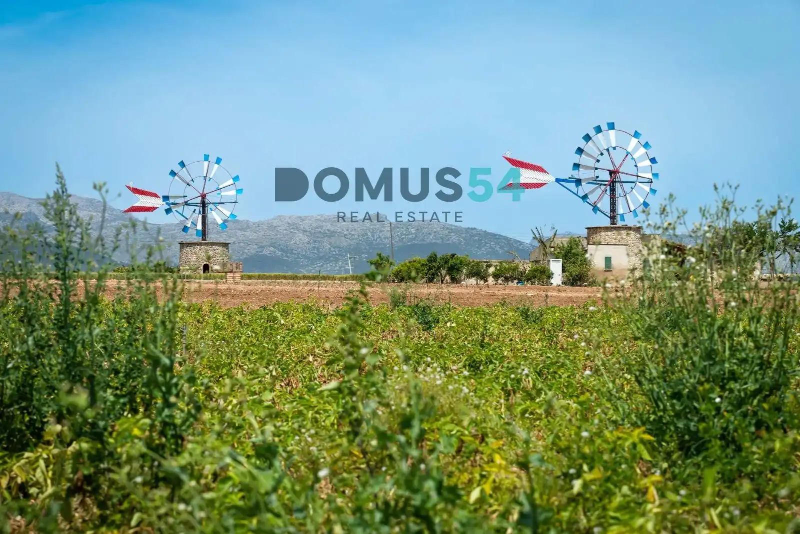 Rural land for sale in Sa Pobla, imagen 15