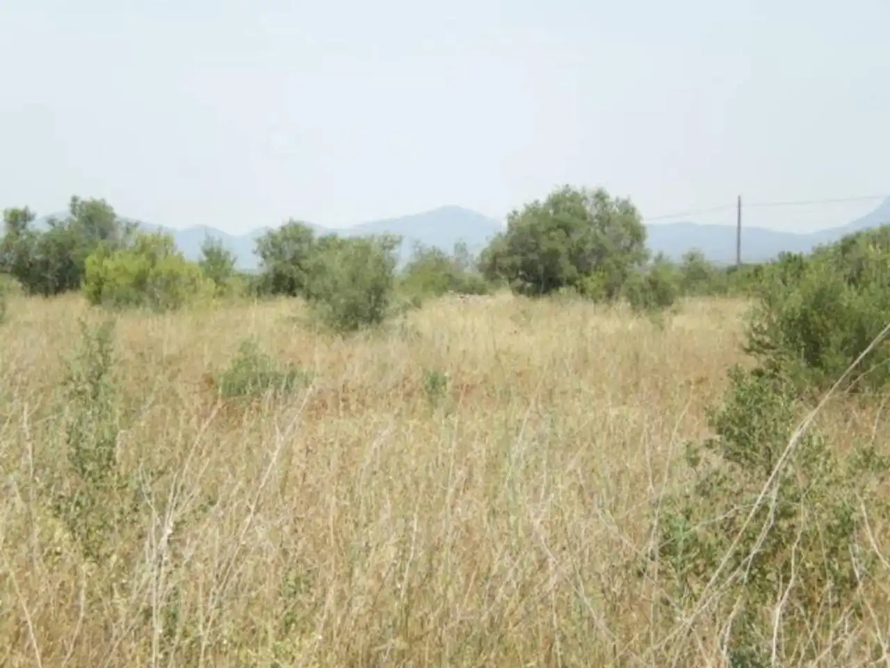 Wohnbaugrundstück zum Verkauf in Carretera VALLS - ALIO (POL. 9 PARC. 87) (POL.12 PAR.79)