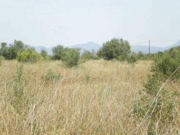 Wohnbaugrundstück zum Verkauf in Carretera VALLS - ALIO (POL. 9 PARC. 87) (POL.12 PAR.79)