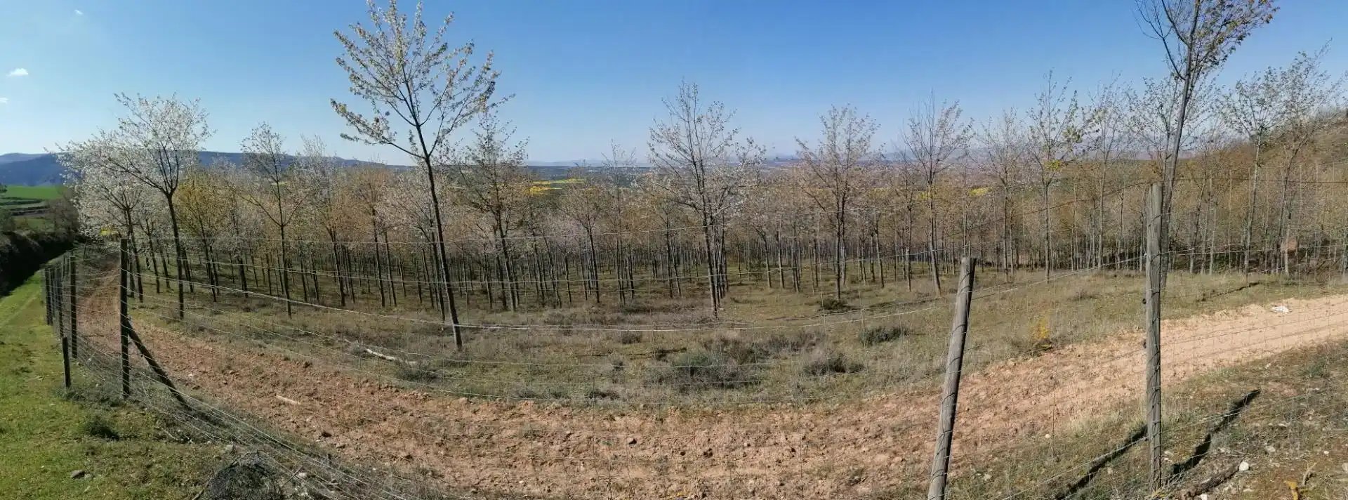 Terreno en venta en San Millán de la Cogolla, La Rioja