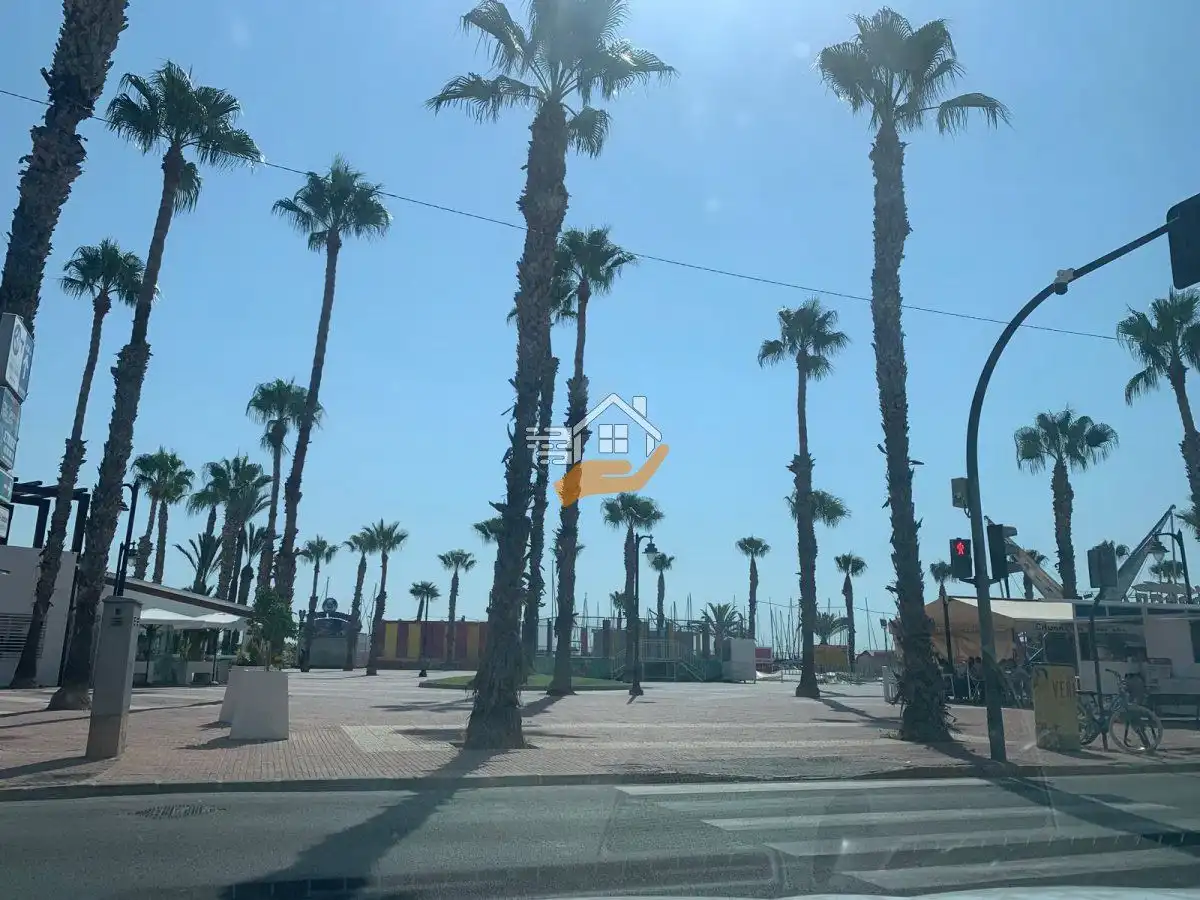 Vista exterior de Casa o chalet en venta en San Pedro del Pinatar con Aire acondicionado, Jardín privado y Terraza