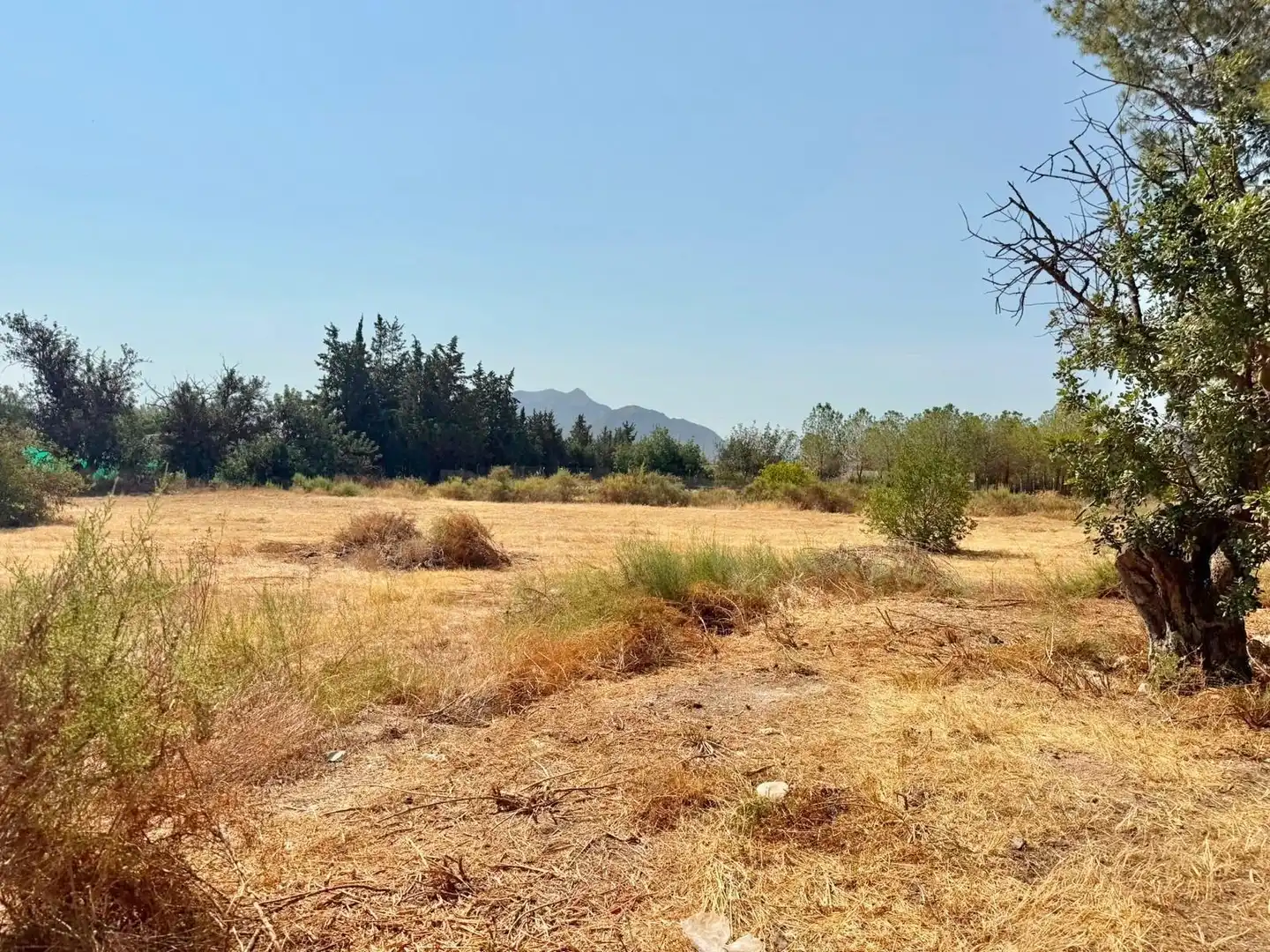 Terrenys i solars en venda a Barrio de los Campirulos 1, imagen 4