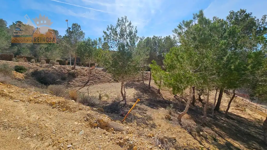 Terreny residencial en venda a Calle Castillo de Caravaca, imagen 7