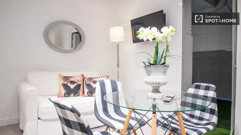Appartamento con terrazza in affitto a Barrio de Salamanca, imagen 12