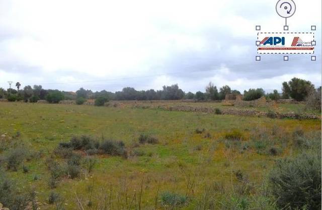 Terreno residencial en Venta en Santa Margalida Poble