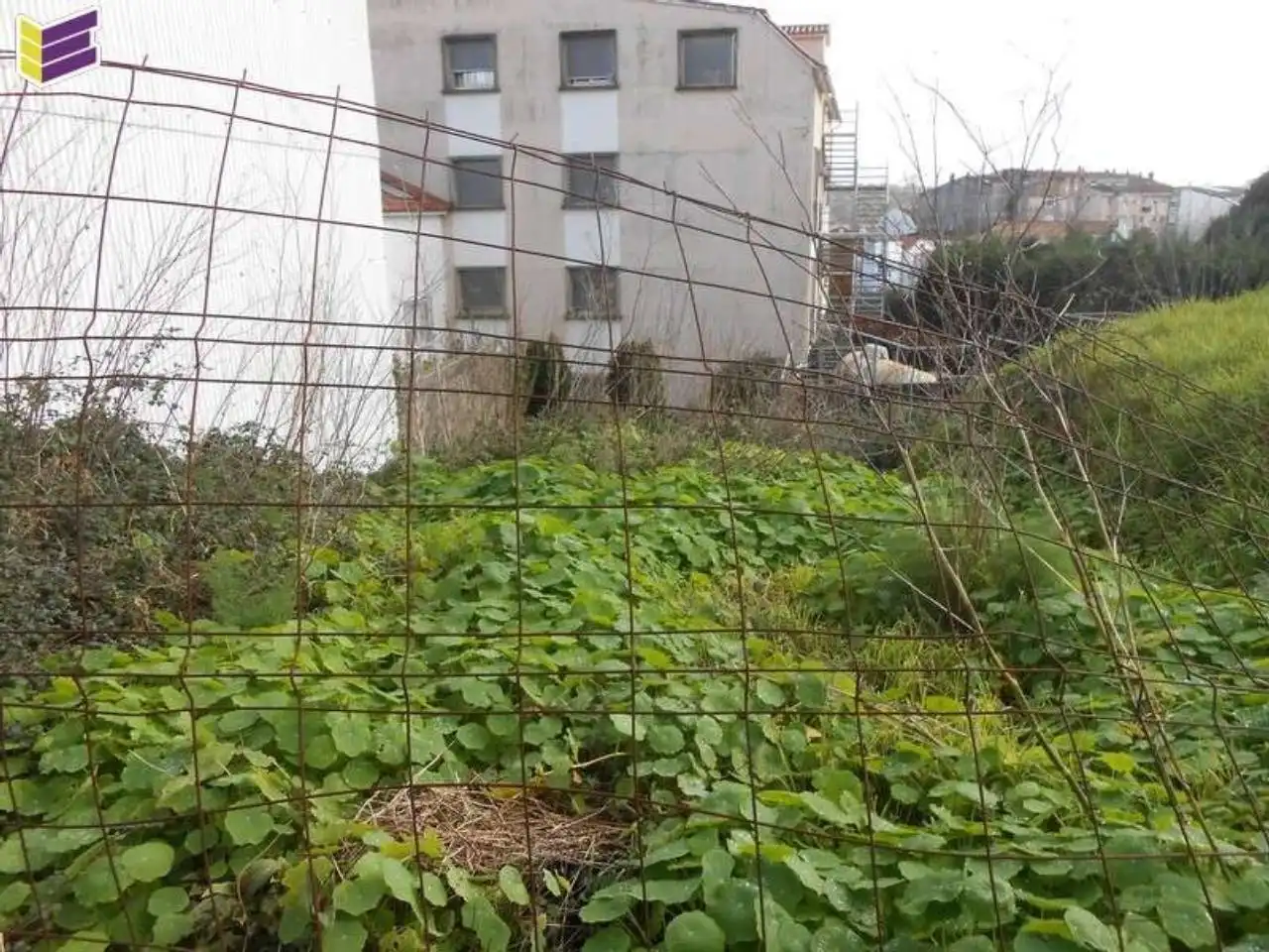 Terreno rustico in vendita a Calle As Bouzas 27, imagen 6
