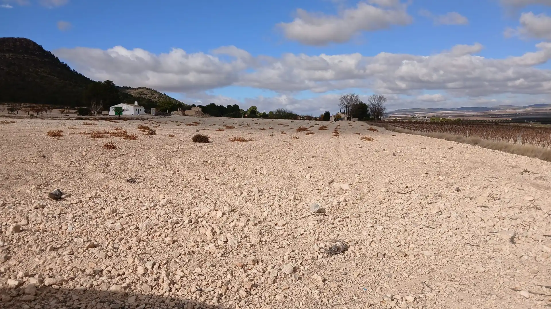 Residential land for sale in Yecla, imagen 11