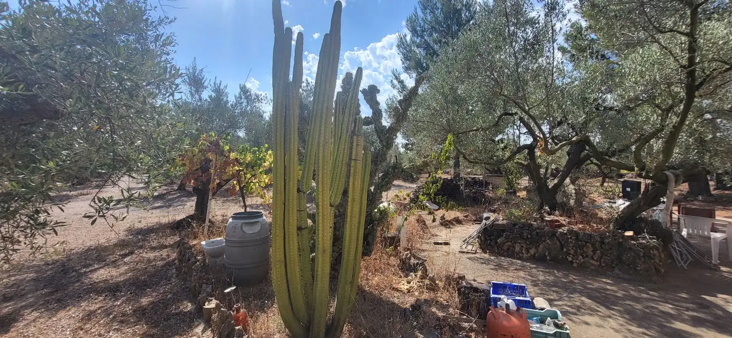 Jardín de Finca rústica en venta en Mas de Barberans