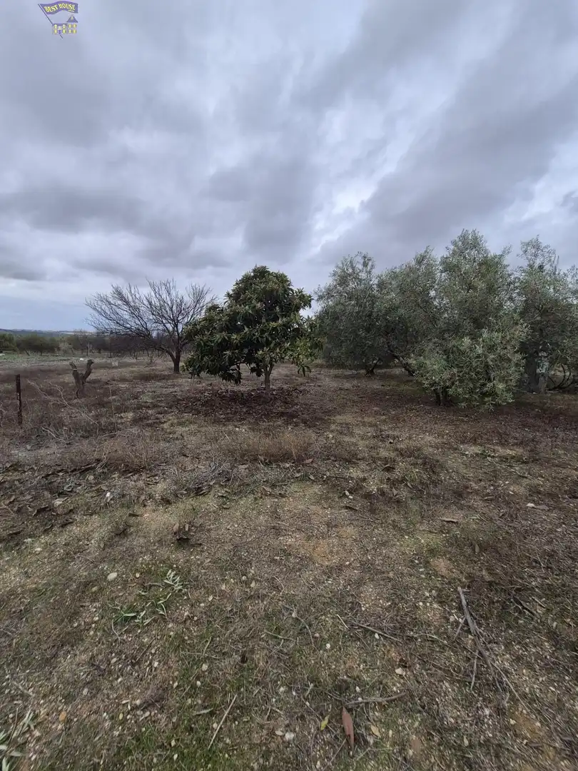 Finca rústica en venda a Arcos de la Frontera