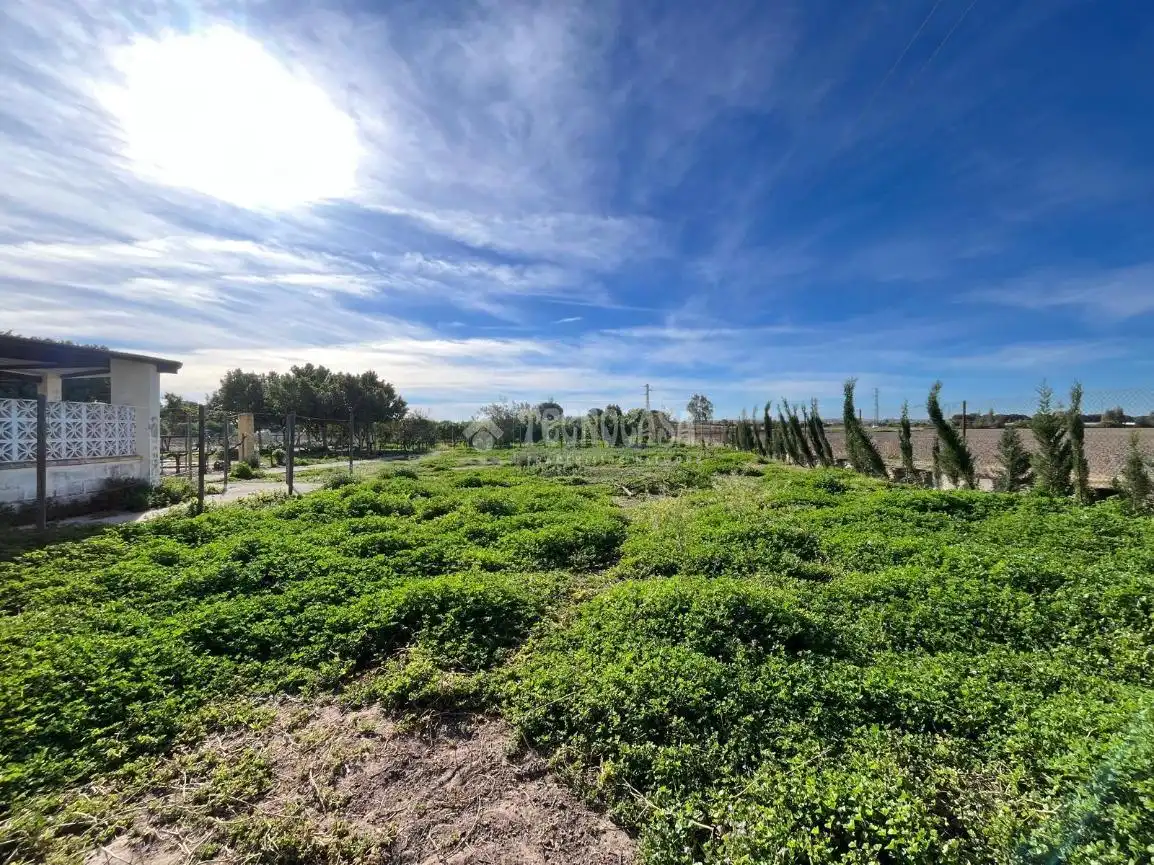 Terreno rústico en venta en Jerez norte - Montealto - Pozoalbero, imagen 8