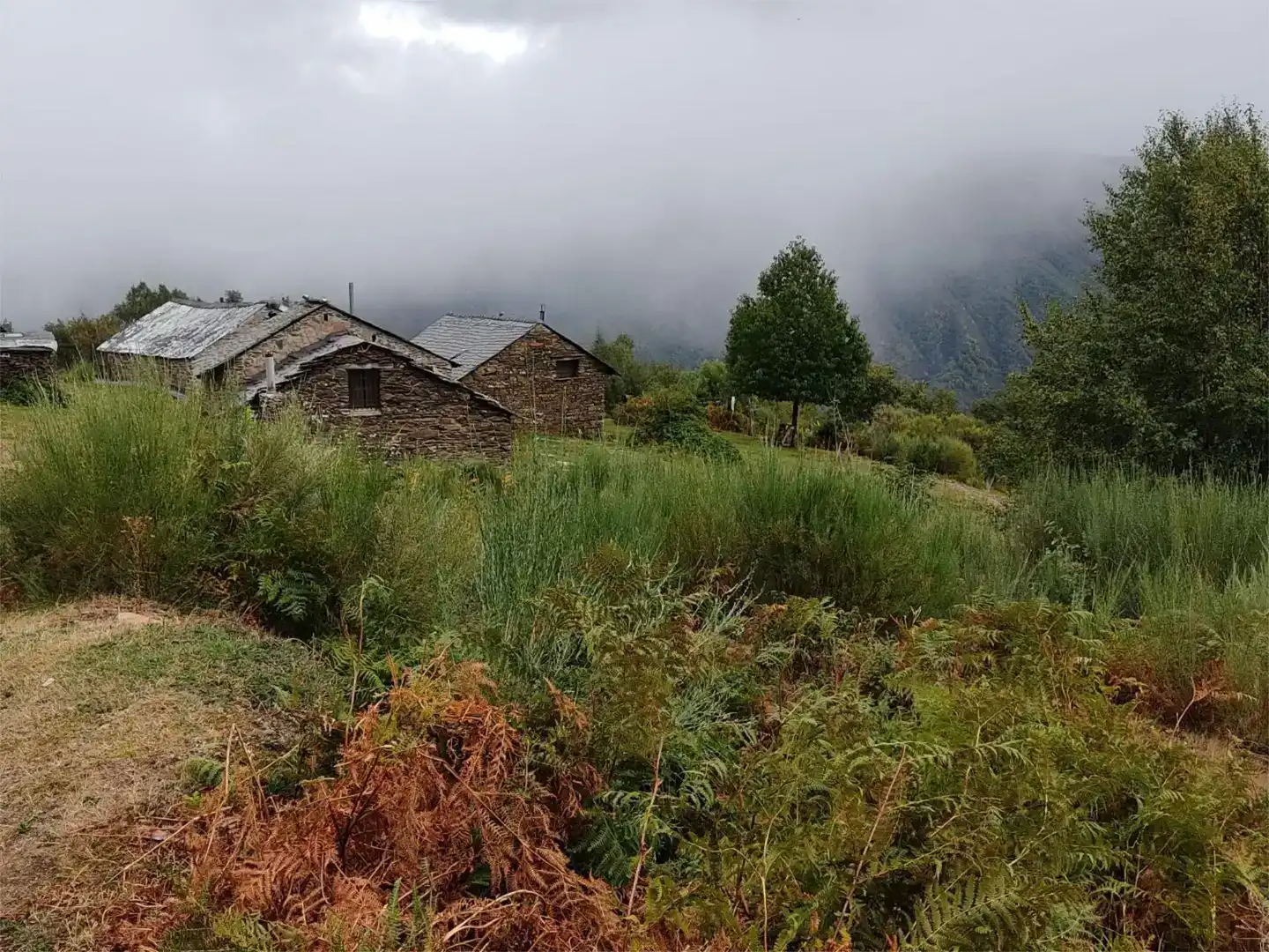Vista exterior de Finca rústica en venda en Palacios del Sil