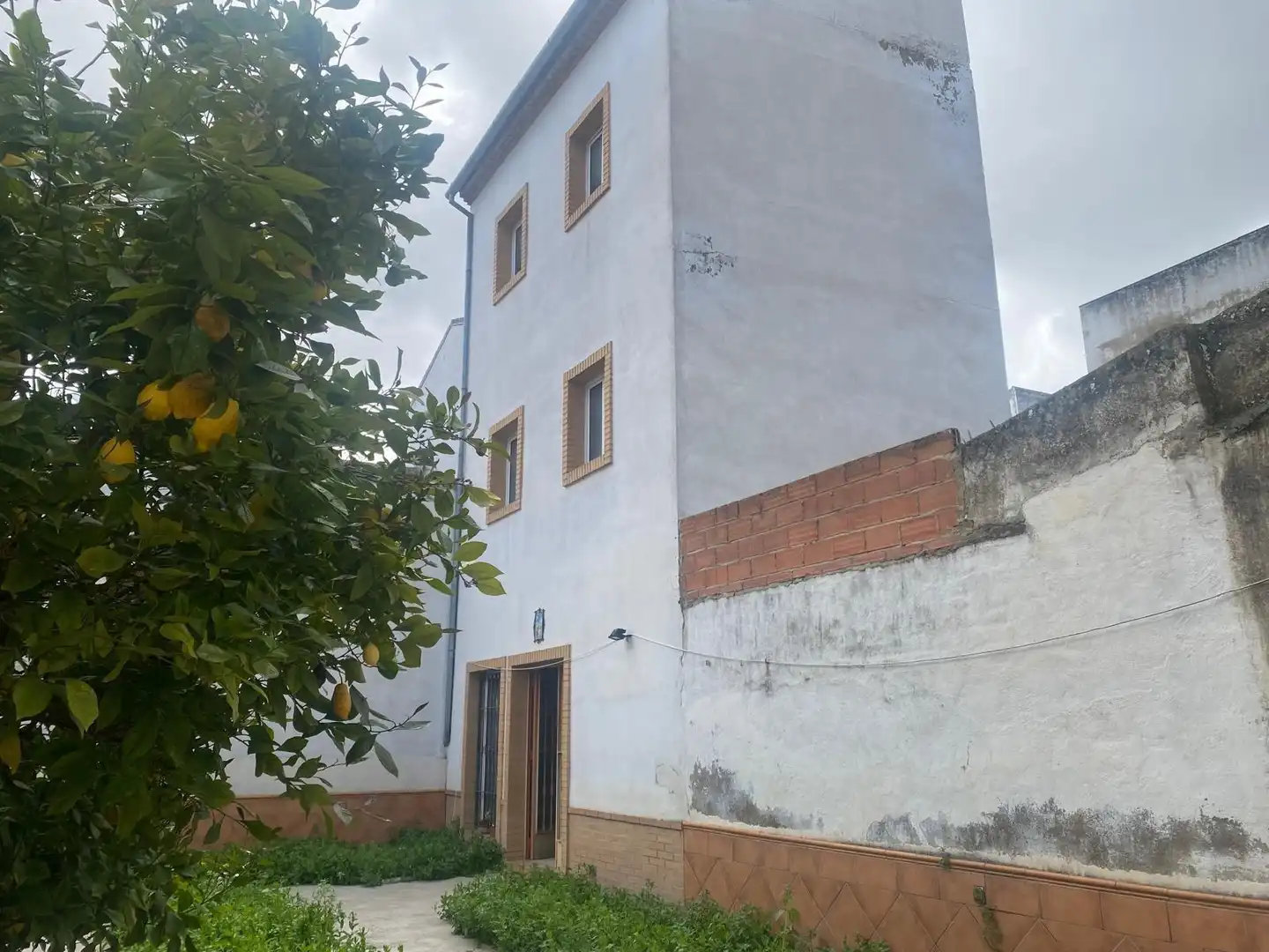 Exterior view of Detached homes for sale in Benamejí  with Private garden, Terrace and Storage room
