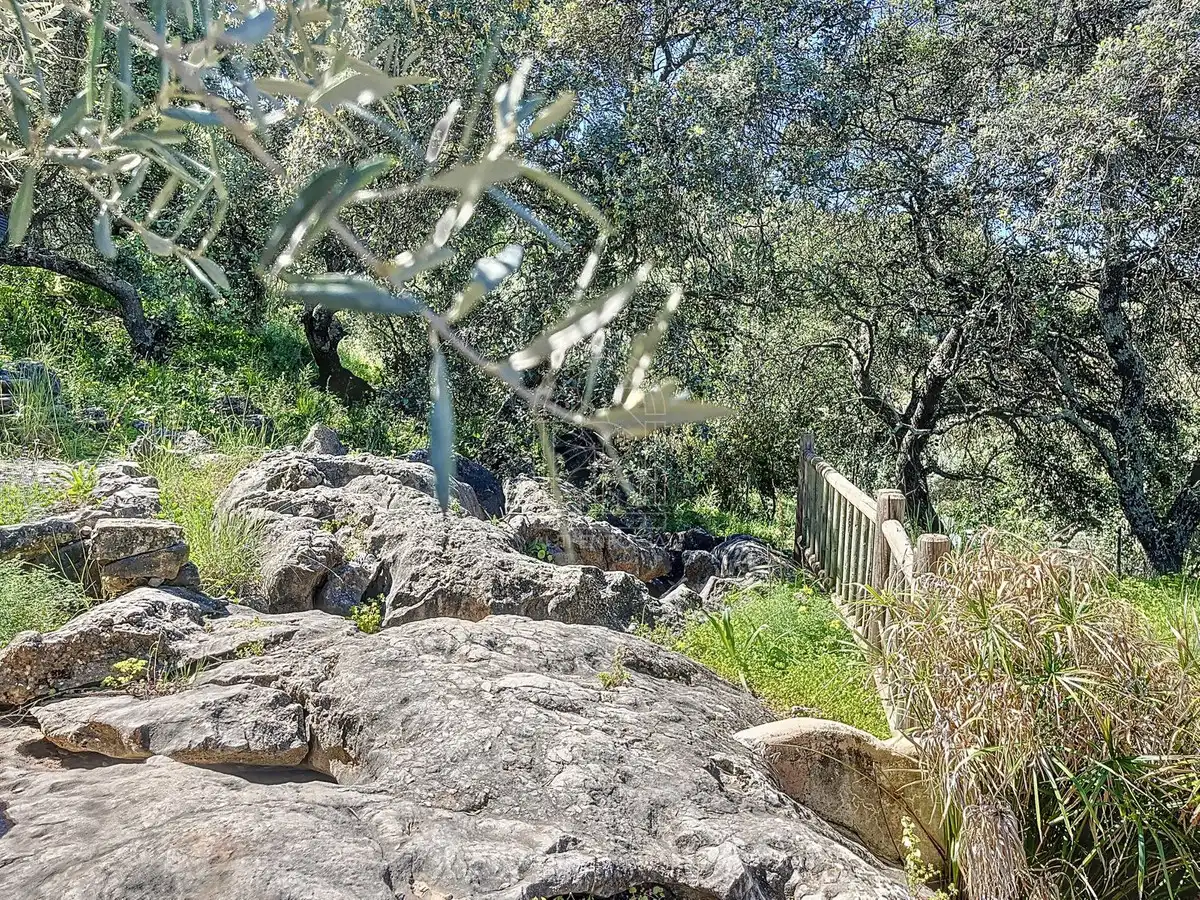 Jardín de Finca rústica en venta en Comares con Aire acondicionado, Jardín privado y Terraza