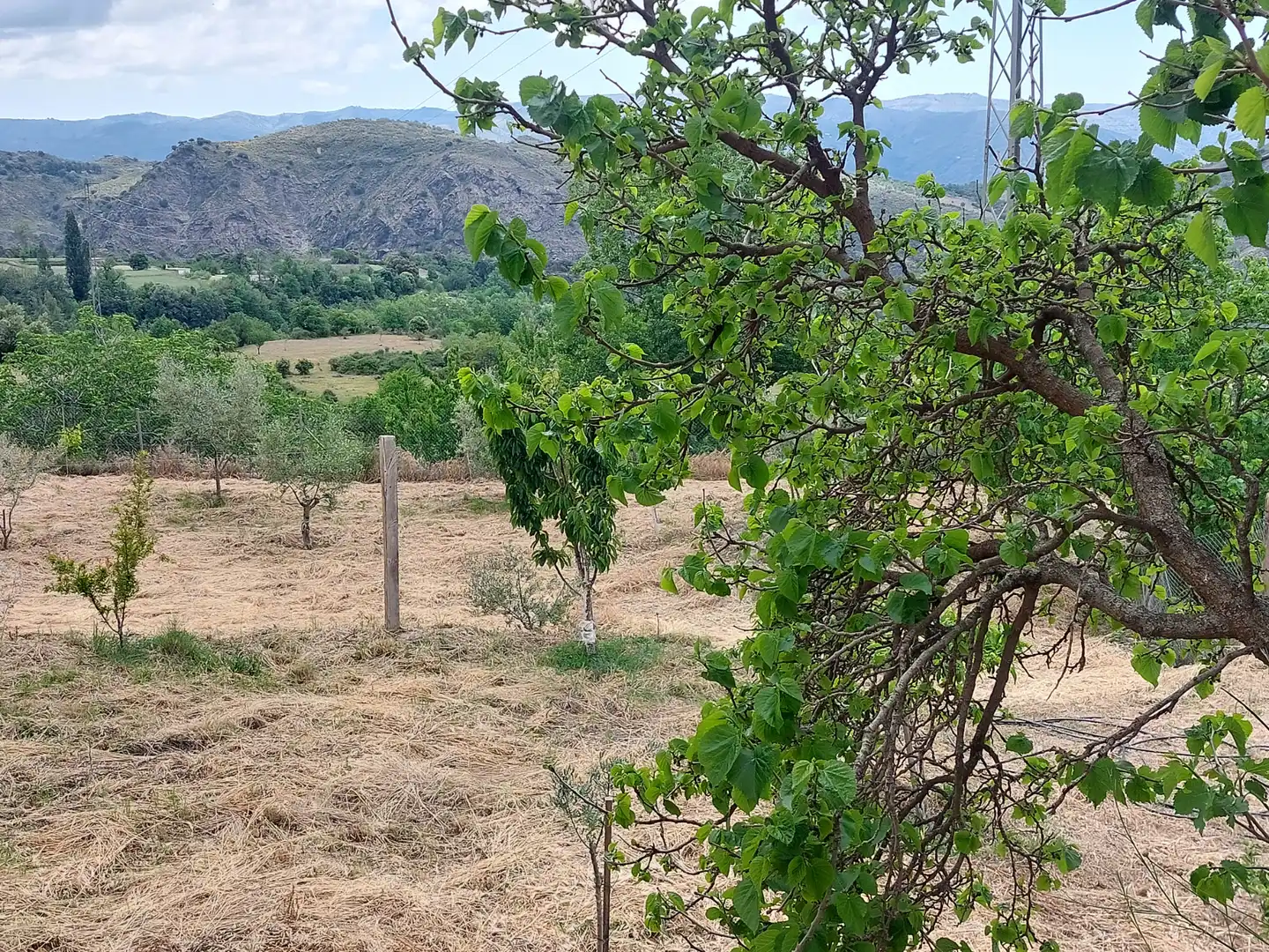 Land for sale in Pórtugos