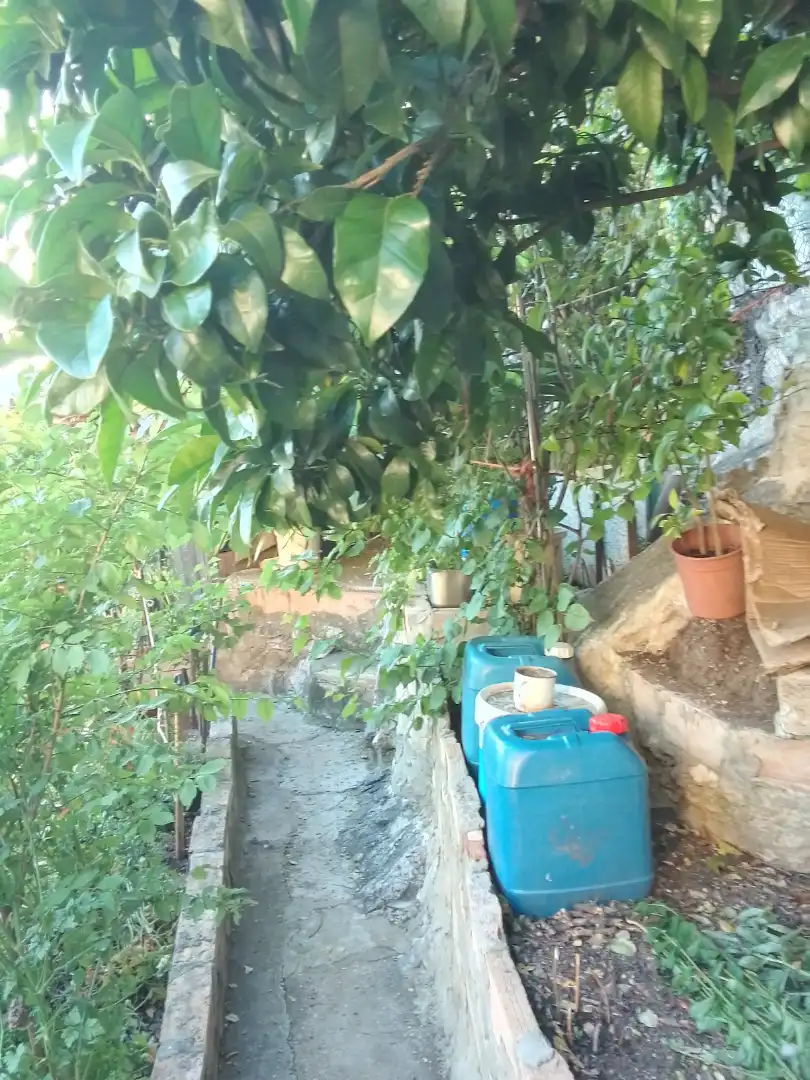 Casa rústica amb jardí en venda a Ubrique, imagen 33