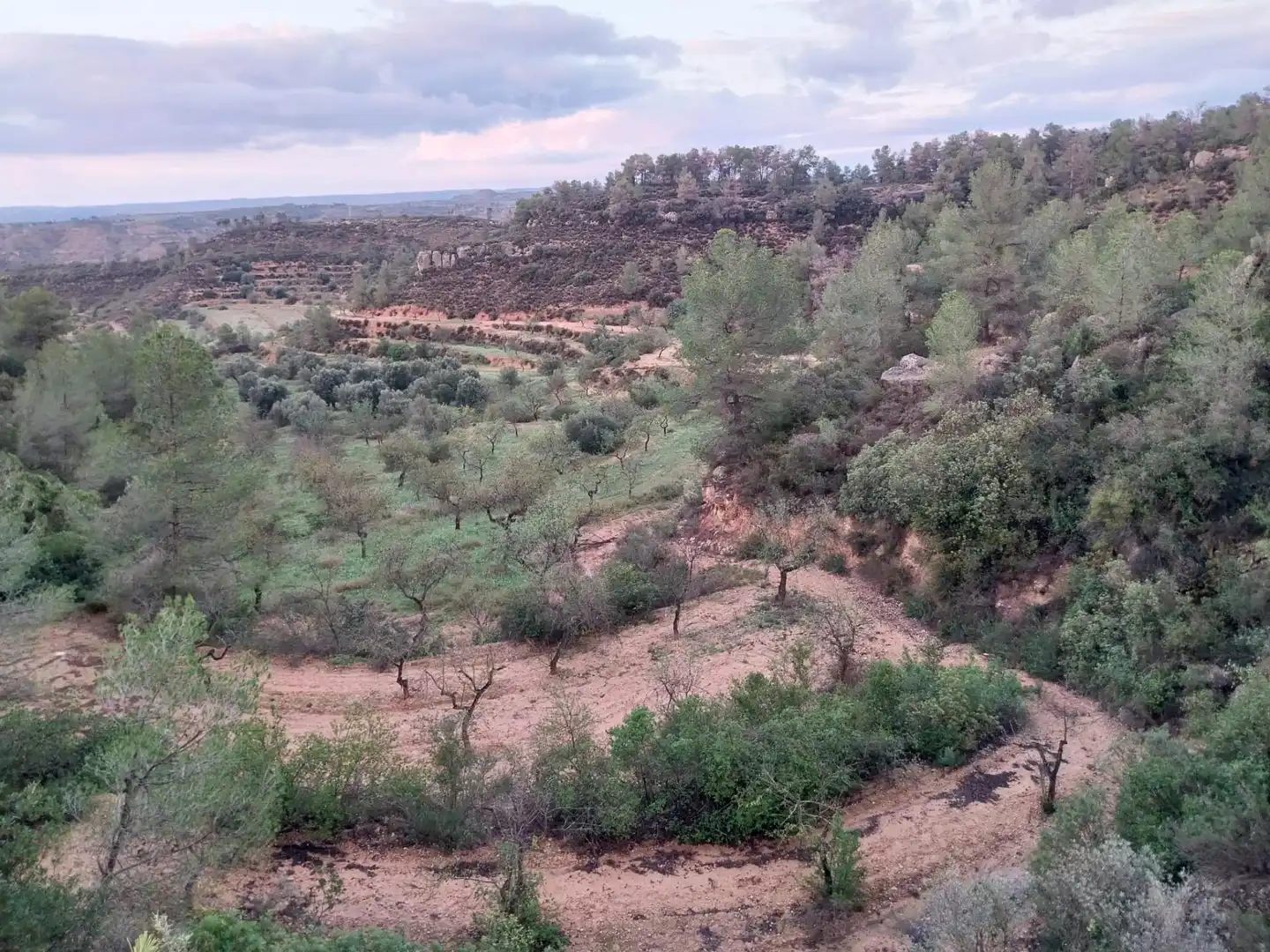 Terrain rustique à vendre à Vinebre, imagen 4