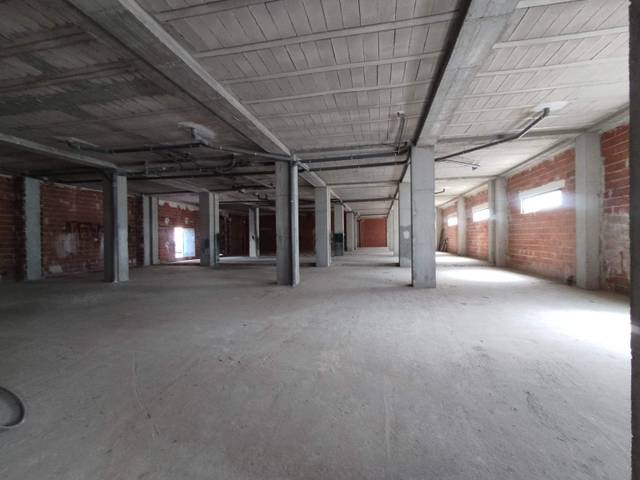 Local comercial en Alquiler en Avenida Tonico Sansano Mora en Sector V