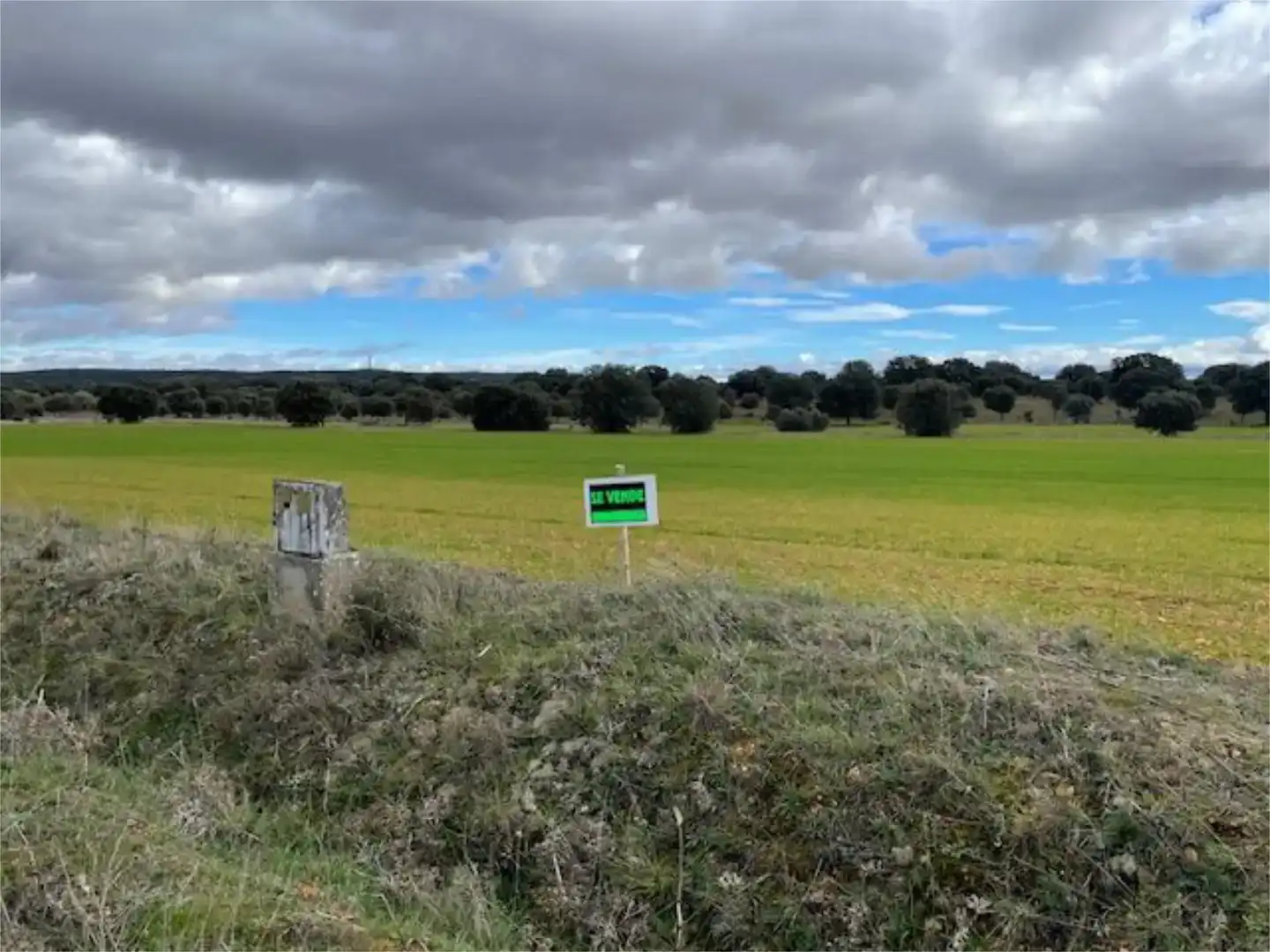 Finca rústica en venta en Carrascal de Barregas