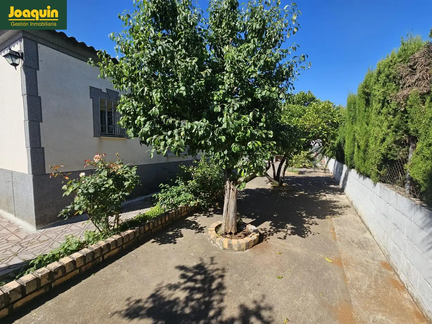 Vista exterior de Casa o xalet en venda en Córdoba amb Aire condicionat, Traster i Piscina