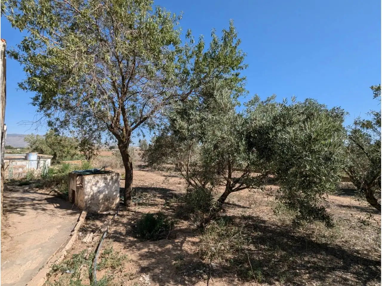 Finca rústica en venta en Caudete con Jardín privado y Piscina