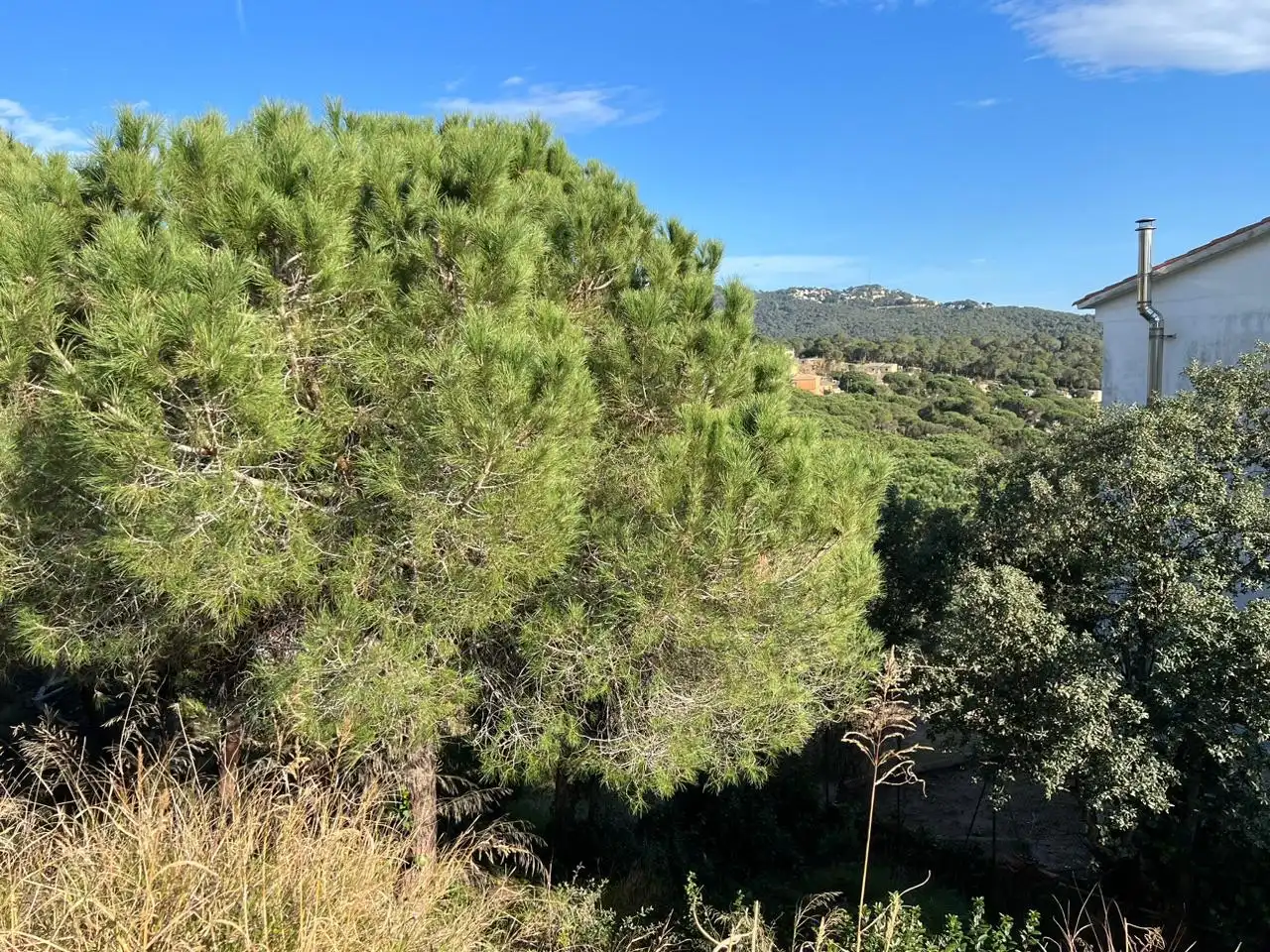 Wohnbaugrundstück zum Verkauf in CASTELLO 21, imagen 2