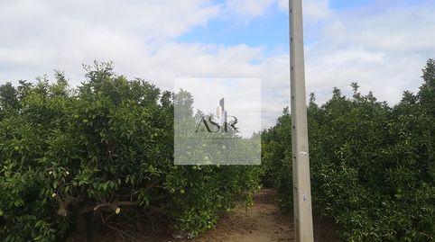 Foto 3 de Terreno en venta en La Coma, -1, Pere Crespí, Alzira