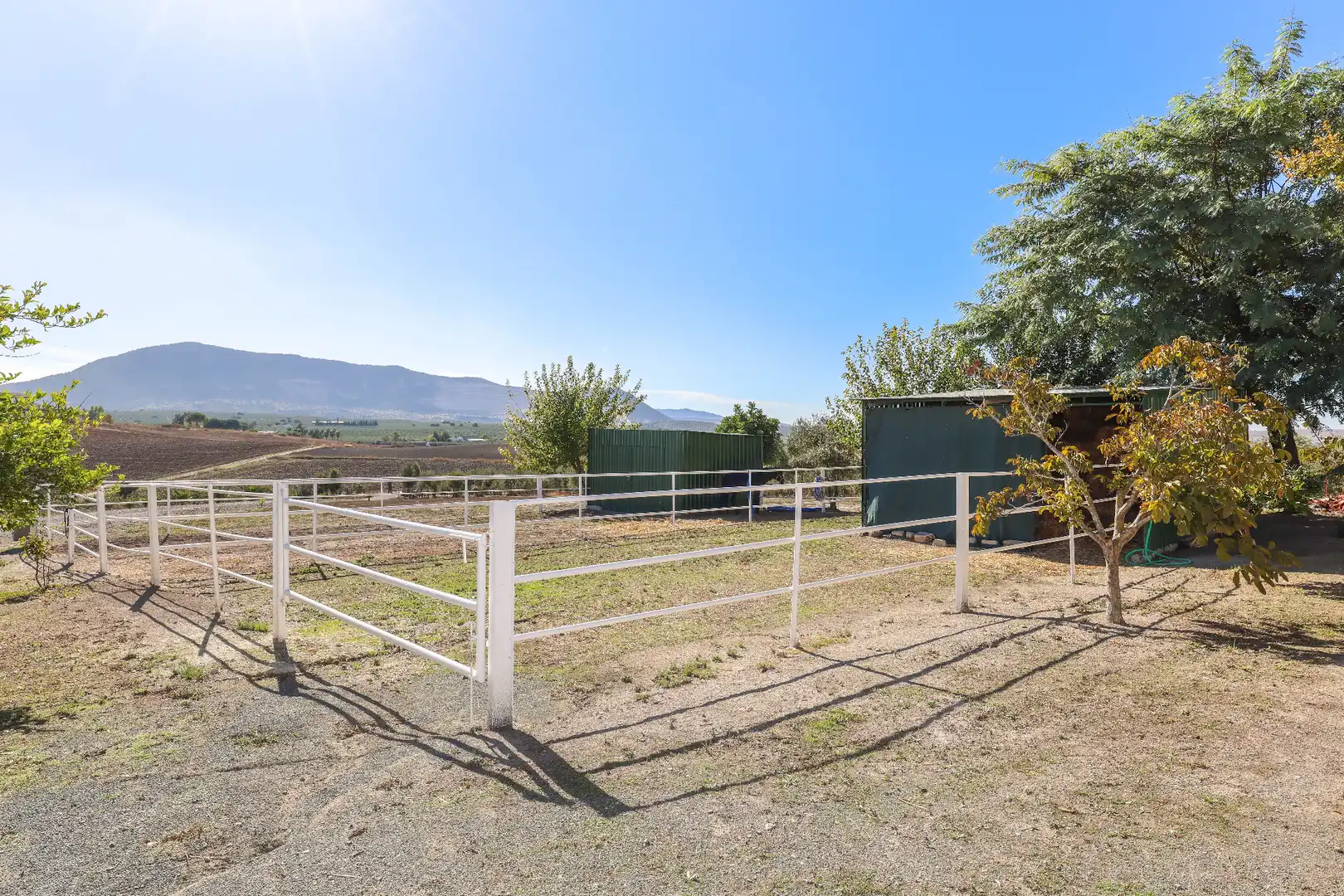Exterior view of Houses for sale in Morón de la Frontera  with Air Conditioner, Private garden and Swimming Pool