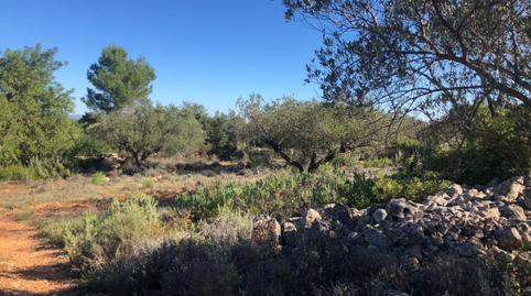 Photo 5 of House or chalet for sale in Polígono Polígono 16 Parcela 8, Chella, Valencia