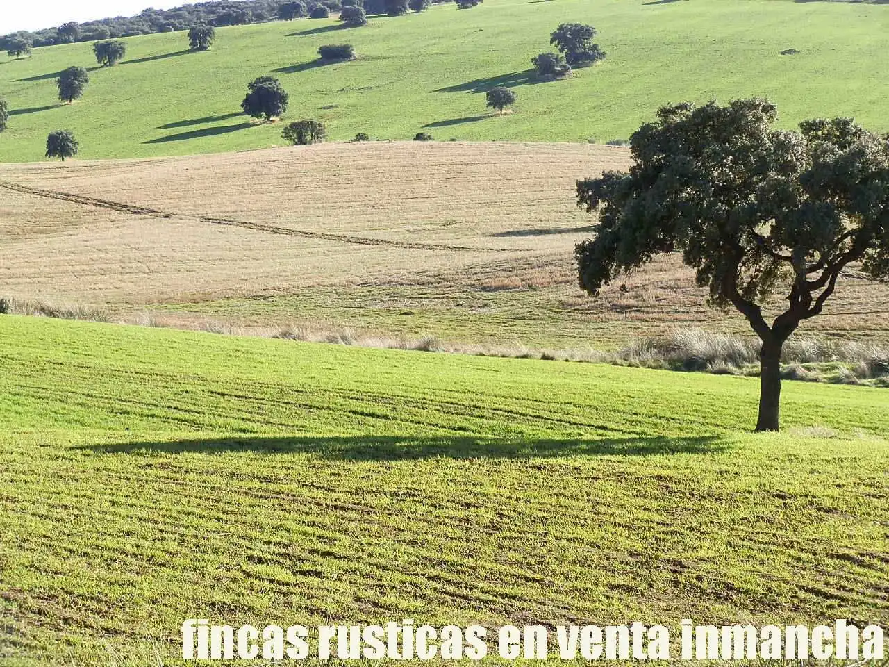 Terreny rústic en venda a Viso del Marqués, imagen 9