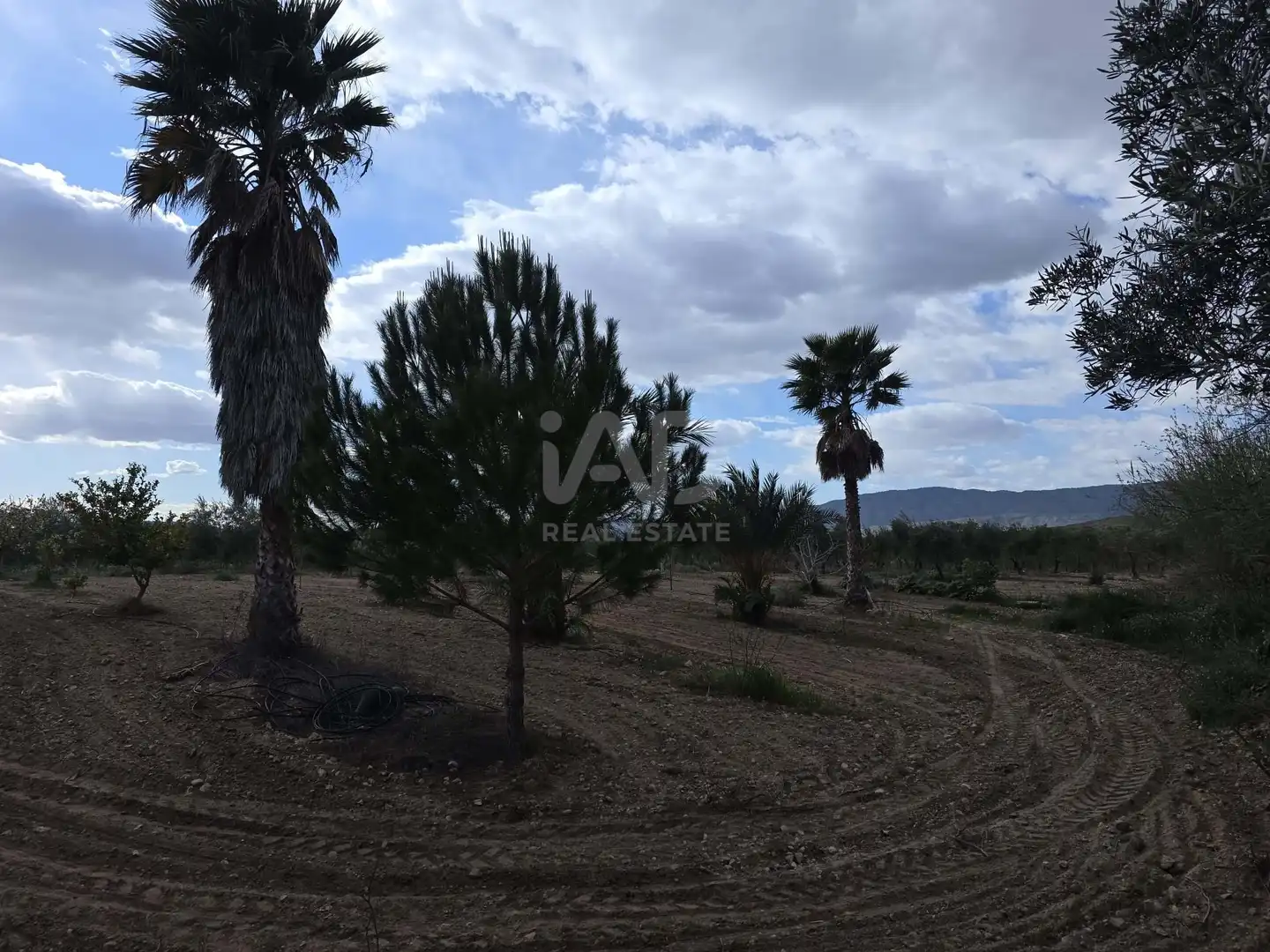 Casa con piscina en venta en Jumilla, imagen 20
