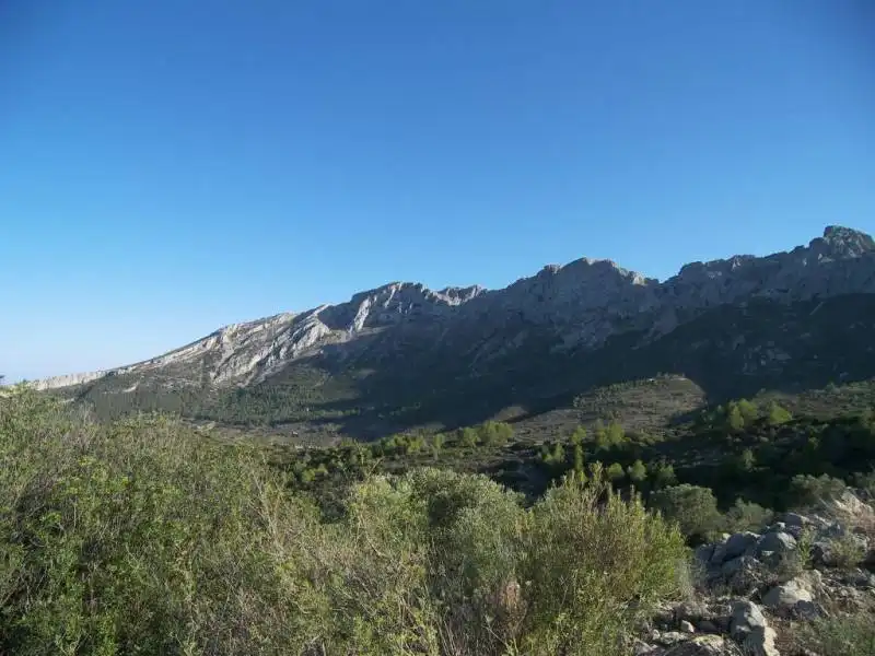 Terreny rústic en venda a Xaló, imagen 4