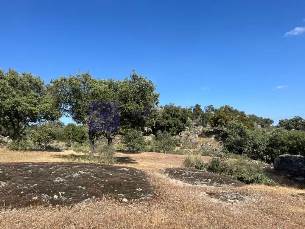 Houses for sale in Poligono 19 Paraje 668 Marrada De La Sociedad, Estación Arroyo Malpartida