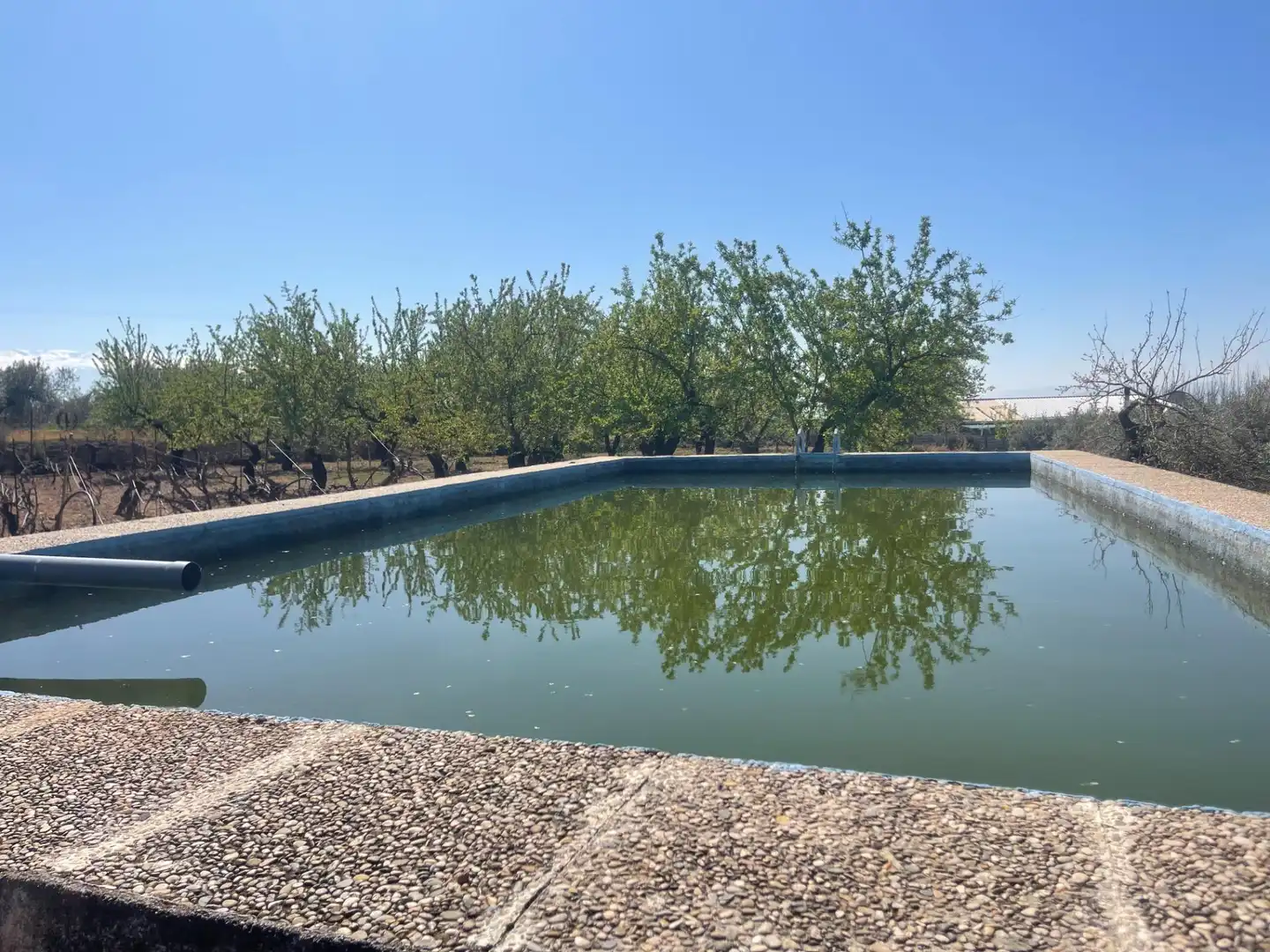 Piscina de Finca rústica en venda en Albolote amb Piscina