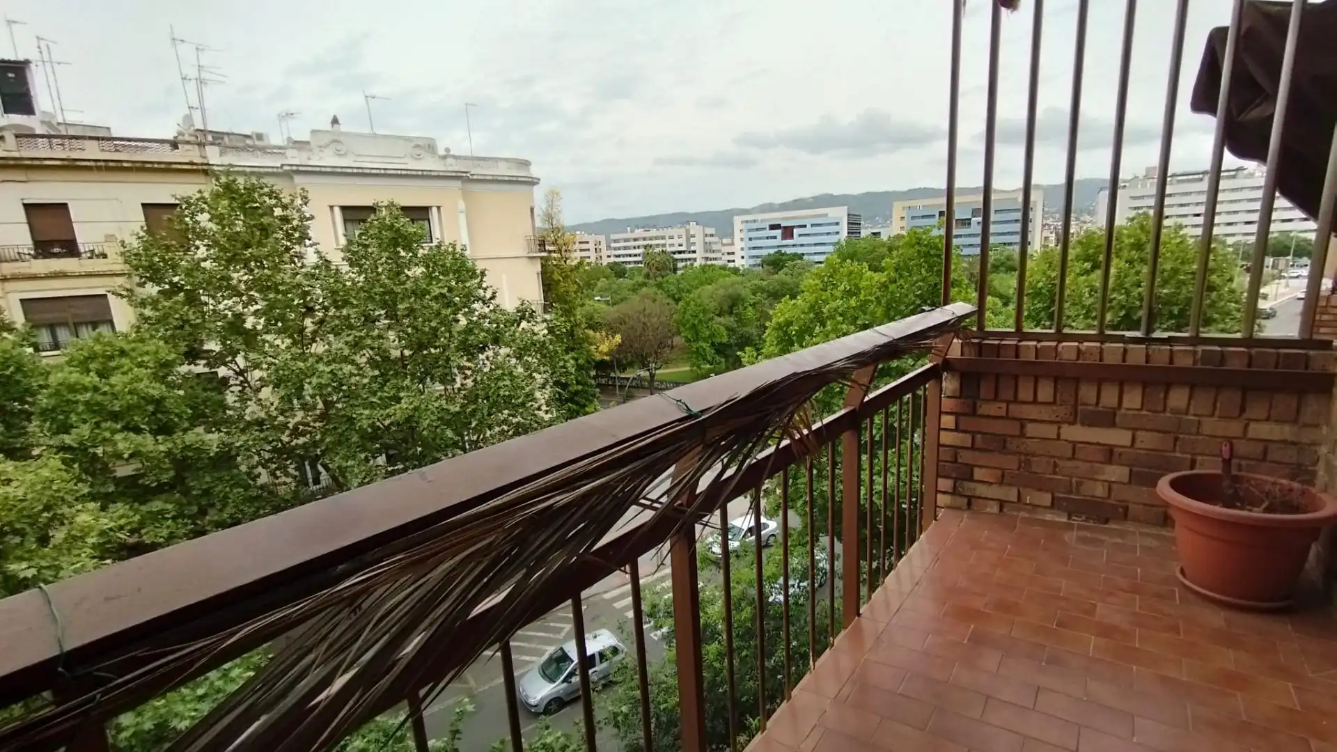 Wohnung zur Miete in Zona Centro