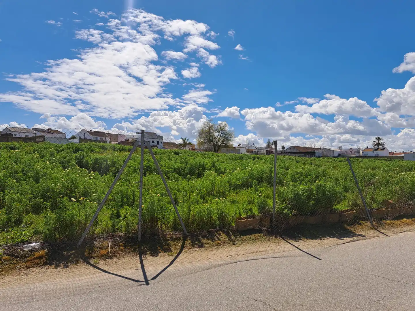 Residencial en venda a Calle Aljarafe, Villanueva del Ariscal