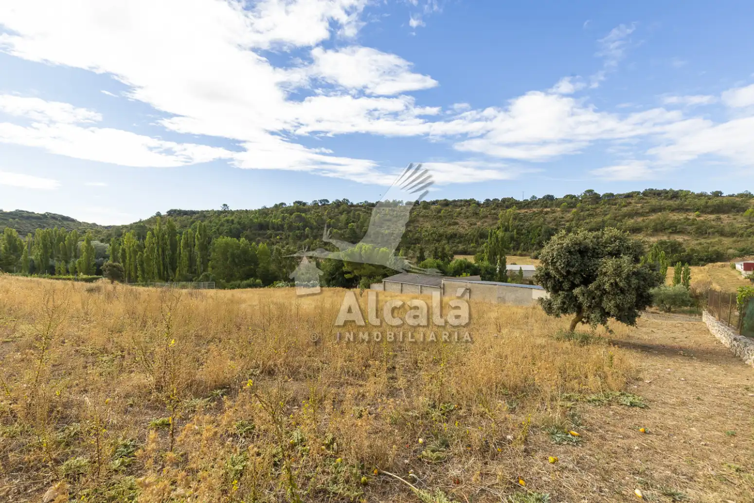 Residential land for sale in Hueva, imagen 12