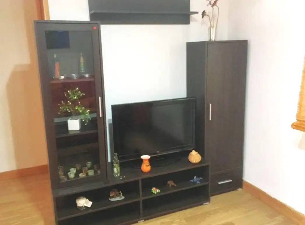 Sala d'estar de Pis de lloguer en Oviedo  amb Calefacció i Moblat