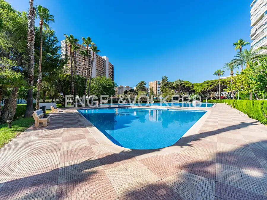 Schwimmbecken von Wohnung zur Miete in Alicante / Alacant mit Klimaanlage, Heizung und Gemeinschaftspool