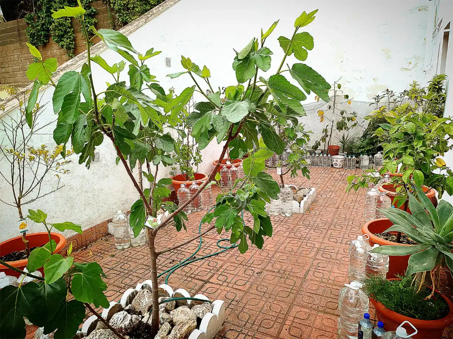 Jardí de Àtic en venda en Águilas amb Aire condicionat, Moblat i Forn