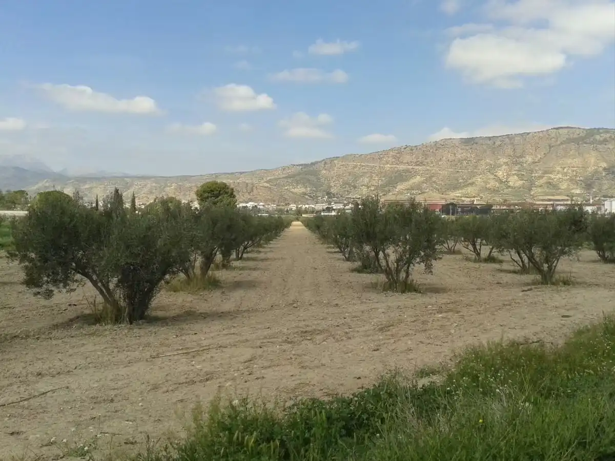 Terreni e lotti in vendita a Alhama de Murcia ciudad, imagen 26